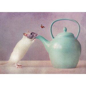 Fotografie Snoozy  :), Ellen van Deelen, 40 × 30 cm