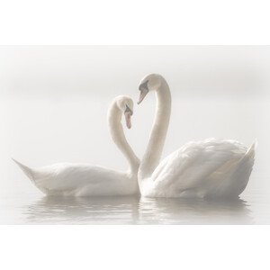 Fotografie Forever, Monika Schwager, 40 × 26.7 cm