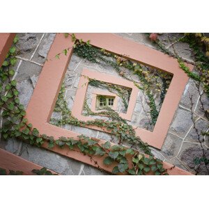 Fotografie Spiral window, Chechi Peinado, 40 × 26.7 cm