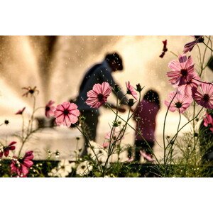 Fotografie Sight in the memory, Takako Fukaya, 40 × 26.7 cm