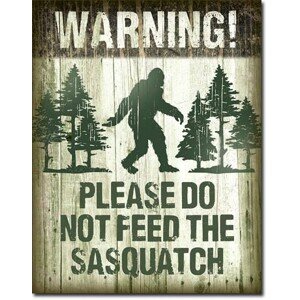 Plechová cedule Sasquatch - Dont Feed, 30 × 42 cm