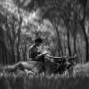 Fotografie Learn Spirit, Antonyus	Bunjamin (Abe), 40 × 40 cm
