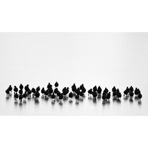 Fotografie Untitled, Yordan	Vasilev, 40 × 22.2 cm