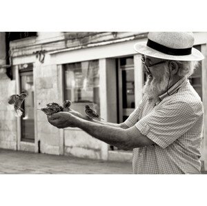 Fotografie Aspettatemi!!!, Izabella	Végh, 40 × 26.7 cm