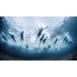 Fotografie Swim, Davide	Lopresti, 40 × 22.2 cm
