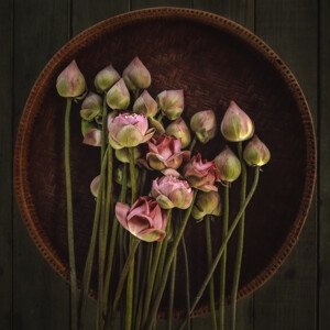 Fotografie No.18, ADIREK	M, 40 × 40 cm