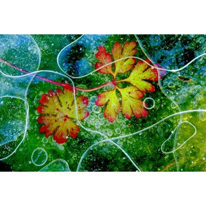 Fotografie Thaw, Andres	Miguel Dominguez, 40 × 26.7 cm
