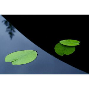 Fotografie In the shade off a boat., Allan	Wallberg, 40 × 26.7 cm