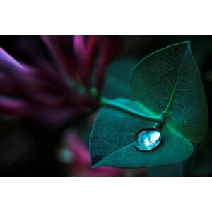 Fotografie In Good Hands, Dragan	Jovancevic, 40 × 26.7 cm