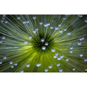 Fotografie Inverted Commas, Wave	Faber, 40 × 26.7 cm