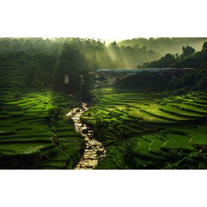 Fotografie Crossing The Beautiful Bridge, Ismail	raja sulbar, 40 × 26.7 cm