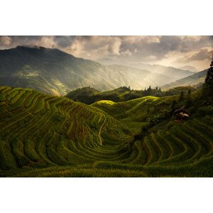 Fotografie A Tuscan Feel in China, Max	Witjes, 40 × 26.7 cm