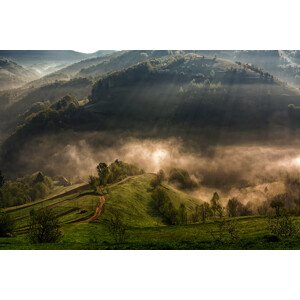 Fotografie Morning fog, Mihail	Dulu, 40 × 26.7 cm