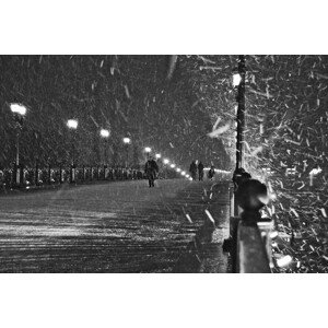 Fotografie The Moscow blizzard, Lyubov	Furs, 40 × 26.7 cm