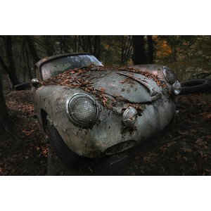 Fotografie red forest, holger	droste, 40 × 26.7 cm