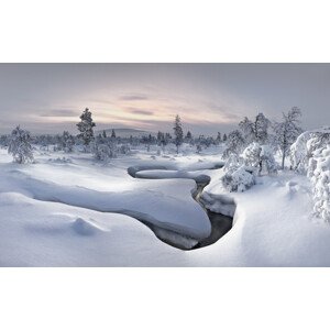 Fotografie Lapland, Christian	Schweiger, 40 × 24.8 cm