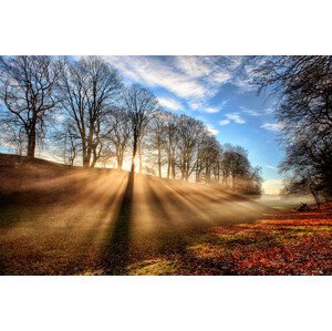 Fotografie Mill of Shadows, Kent Mathiesen, 40 × 26.7 cm