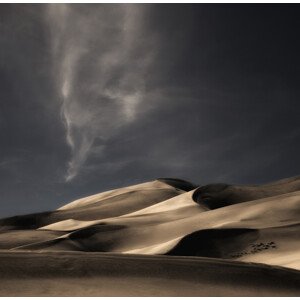 Fotografie Nature heals and cheers ..., Yvette	Depaepe, 40 × 40 cm