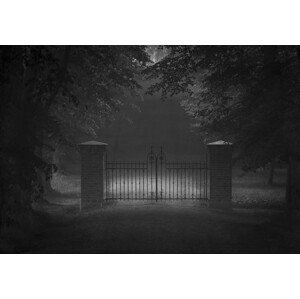 Fotografie Far but no further, Allan	Wallberg, 40 × 26.7 cm