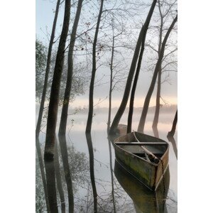Fotografie Serene Dawn, Rui	David, 26.7 × 40 cm