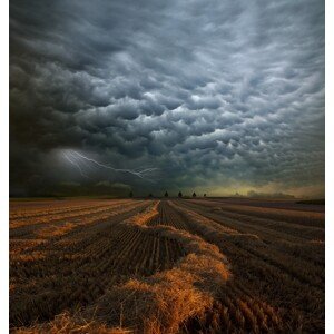 Fotografie Mammatus, Nicolas	Schumacher, 40 × 40 cm