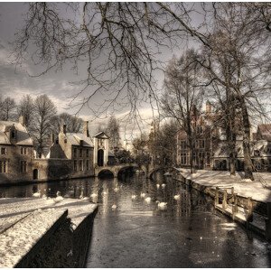 Fotografie Bruges in Christmas dress, Yvette	Depaepe, 40 × 40 cm