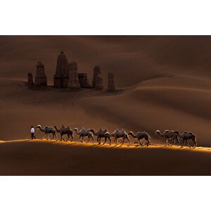 Fotografie Castle and Camels, Mei	Xu, 40 × 26.7 cm