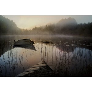 Fotografie In the misty morning, Willy	Marthinussen, 40 × 26.7 cm