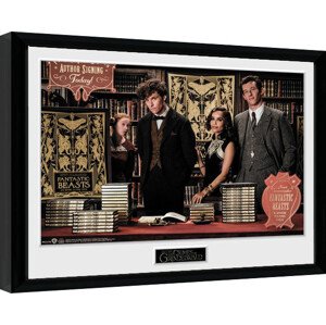 Obraz na zeď - Fantastická zvířata: Grindelwaldovy zločiny - Book Signing, 44.2 × 34 cm