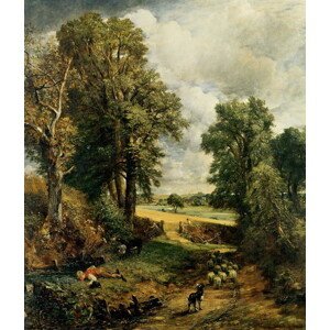 Obrazová reprodukce The Cornfield (1826), John Constable, 30 × 40 cm