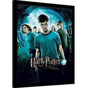 Obraz na zeď - Harry Potter - Order Of The Phoenix, 34.3 × 44.5 cm