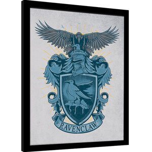 Obraz na zeď - Harry Potter - Havraspár, 30 × 40 cm