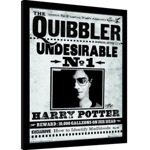 Obraz na zeď - Harry Potter - The Quibbler, 34.3 × 44.5 cm