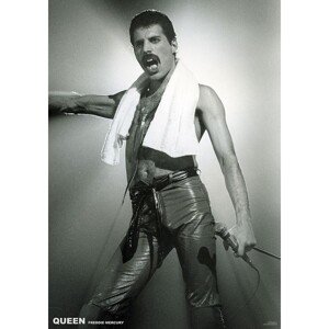 Plakát, Obraz - Queen (Freddie Mercury) - Live On Stage, 59.4 × 84.1 cm