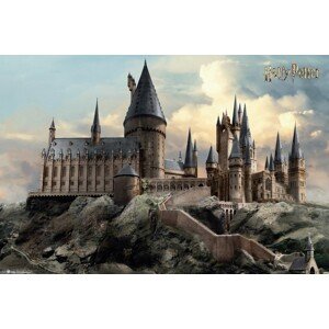 Plakát, Obraz - Harry Potter - Den v Bradavicích, 91.5 × 61 cm
