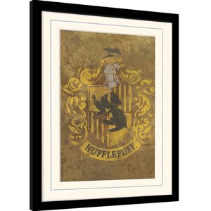 Obraz na zeď - Harry Potter - Znak Mrzimoru, 34.3 × 44.5 cm