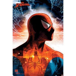 Plakát, Obraz - Spider-Man - Protector Of The City, 61 × 91.5 cm