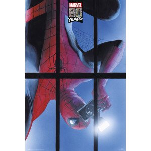 Plakát, Obraz - Spiderman - 80 Years, 61 × 91.5 cm