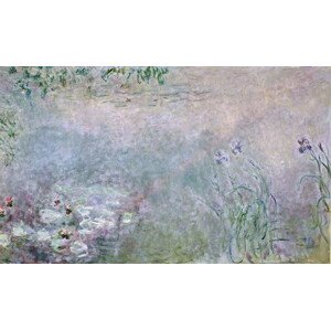 Obrazová reprodukce Lekníny, Monet, Claude, 40 × 23.8 cm