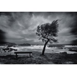 Fotografie Today No One, Mikel Lastra, 40 × 26.7 cm