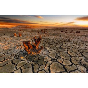 Fotografie Dry Lake, Piotr Krol, 40 × 26.7 cm