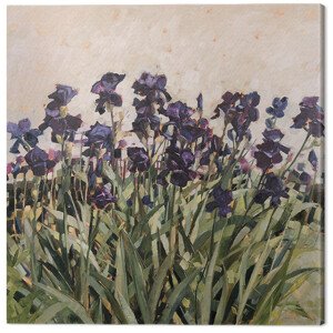 Obraz na plátně Anne-Marie Butlin - May Garden, 2 - 60×60 cm