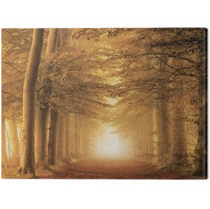 Obraz na plátně Lars Van De Goor - Autumn Feelings, 2 - 80×60 cm