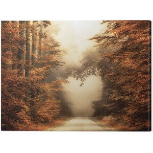 Obraz na plátně Lars Van De Goor - Fall In Love, 2 - 80×60 cm