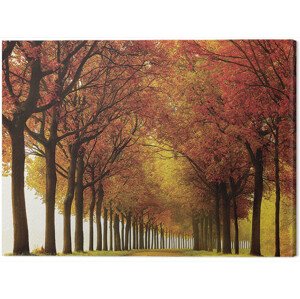 Obraz na plátně Lars Van De Goor - So Full, 2 - 80×60 cm