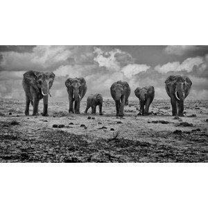 Fotografie Big Family, Marcel Rebro, 40 × 22.2 cm