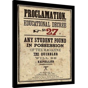 Obraz na zeď - Harry Potter - Educational Decree No. 27, 34.3 × 44.5 cm