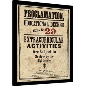 Obraz na zeď - Harry Potter - Educational Decree No. 29, 34.3 × 44.5 cm