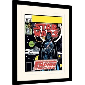 Obraz na zeď - Star Wars - Vader Strikes Back, 30 × 40 cm