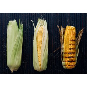 Fotografie FOODprocess #1- Grilled corn, Aleksandrova Karina, 40 × 26.7 cm